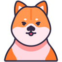 shiba inu icon