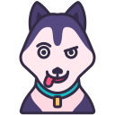 husky siberiano icon