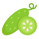 pepino icon