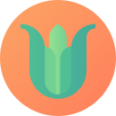 aloe vera icon