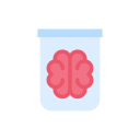 cerebro icon