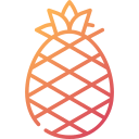 piña icon