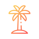 palmera