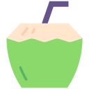 bebida de coco icon