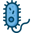 bacterias icon