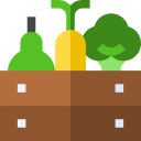 verduras icon