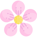 sakura icon