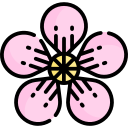 sakura icon