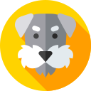 schnauzer icon