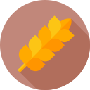 trigo icon