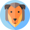 collie icon