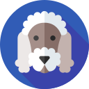 caniche icon