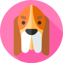 basset hound icon