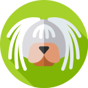 puli icon