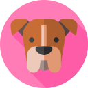 boxer icon