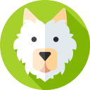 samoyedo icon