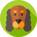 cocker icon