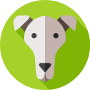 galgo icon