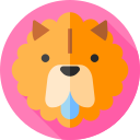 chow chow icon