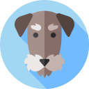 terrier de airedale icon