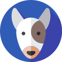 bull terrier icon