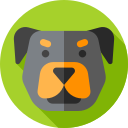 rottweiler icon