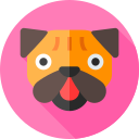 doguillo icon