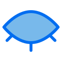 ojo icon