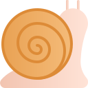 caracol icon