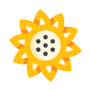 girasol icon