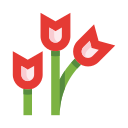 tulipanes icon