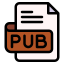 pub 