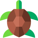 tortuga icon