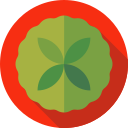 vegetariano icon