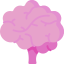 cerebro humano icon