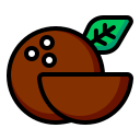 coco icon