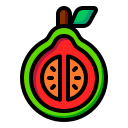 guayaba icon