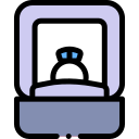 caja del anillo icon