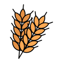 trigo icon