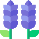 lavanda icon