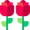 rosa icon