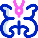 mariposa icon