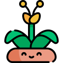 tropical icon