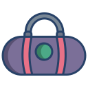 bolso icon