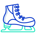 Ice skating shoes