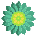 mandala icon