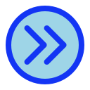 flecha correcta icon