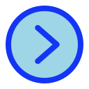 flecha correcta icon