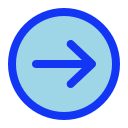 flecha correcta icon