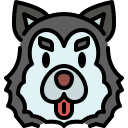 husky siberiano 